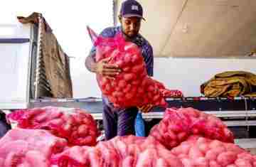  Conab aponta queda de preço da batata e alta da cebola e tomate 